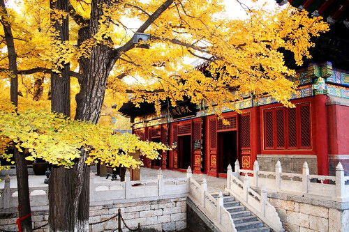 青龍峽踏青、紅螺寺賞紅