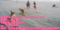 澳大利亞旅游常識(shí)全攻略